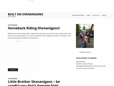 builtonshenanigans.com snapshot