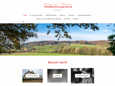 nancyvanfleteren.be snapshot