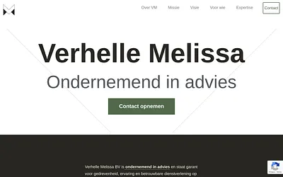 mveconsult.be snapshot