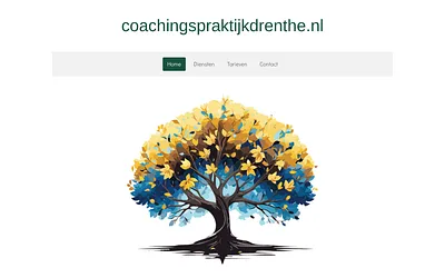 coachingspraktijkdrenthe.nl snapshot