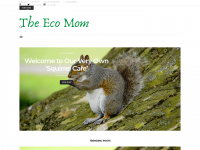theecomom.com snapshot