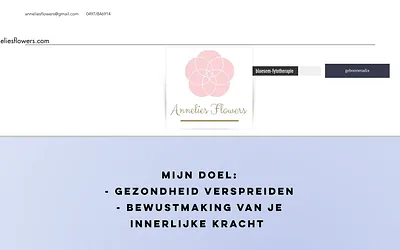 anneliesflowers.com snapshot