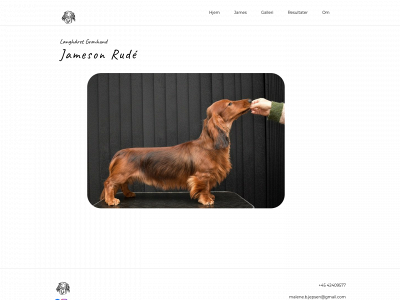jamesonrude.dk snapshot