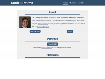 www.danielborkow.com snapshot