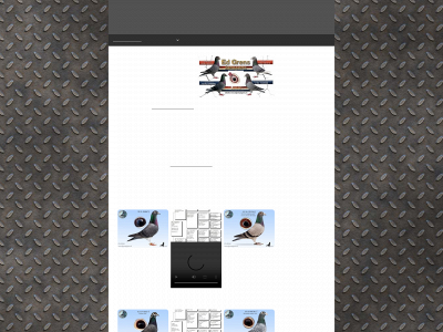 edgrenspigeons.123website.nl snapshot