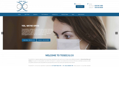 tosee2020.net snapshot