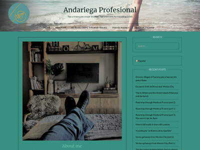 andariegaprofesional.com snapshot