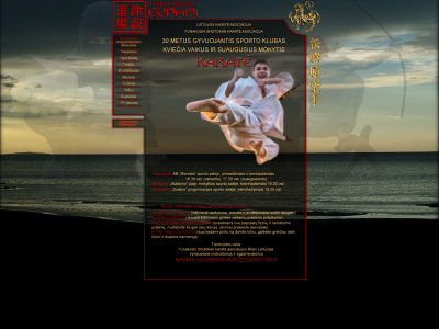 karatecunami.lt snapshot