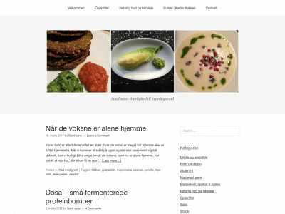 sundsans.dk snapshot