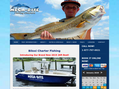 teammegabite.com snapshot