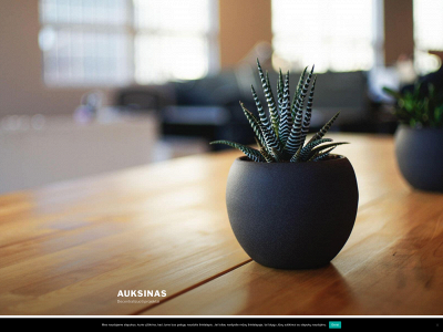 auksinas.lt snapshot