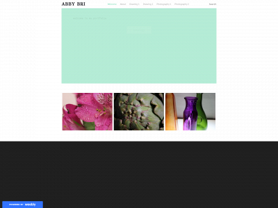 abcdesign05.weebly.com snapshot