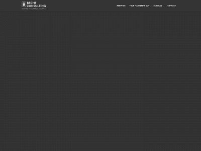 bechtconsulting.com snapshot