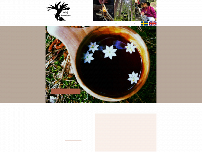 art-of-adventures.se snapshot