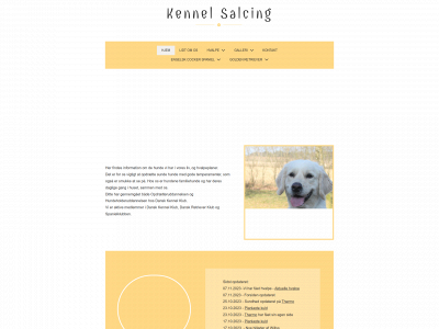 kennel-salcing.dk snapshot