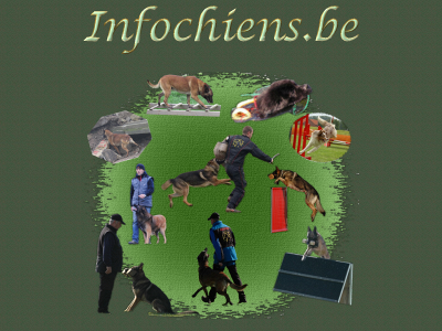 infochiens.be snapshot