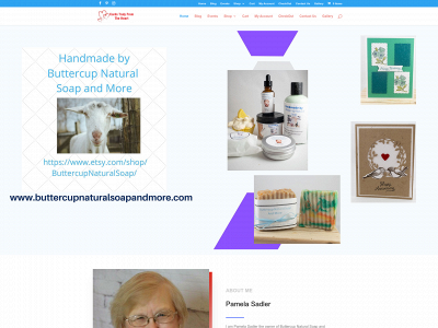 bhj.hpn.mybluehost.me snapshot