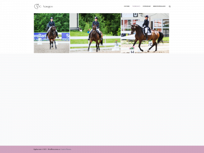 c-vangen.com snapshot