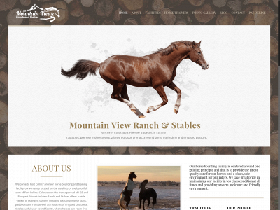 mvsaa.com snapshot