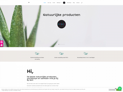 bynici.nl snapshot