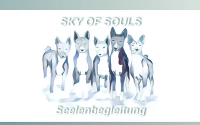 sky-of-souls.de snapshot