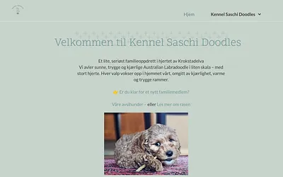 saschidoodles.no snapshot