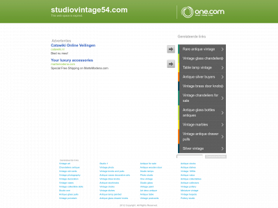 studiovintage54.com snapshot