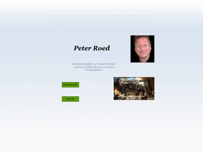 p-roed.dk snapshot