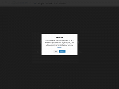 reliningsexperten.se snapshot