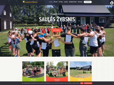 sauleszybsnis.lt snapshot