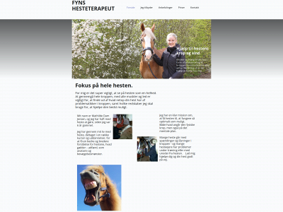 fynshesteterapeut.dk snapshot