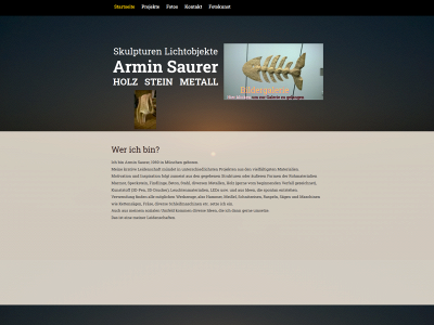 armin-saurer.de snapshot