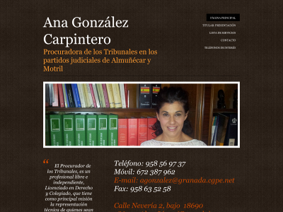 procuradora-anagonzalez.es snapshot