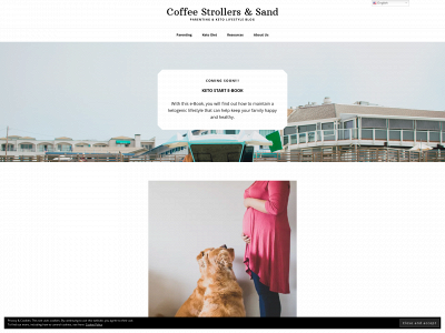 coffeestrollersandsand.com snapshot