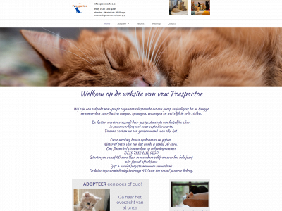 poespartoe.be snapshot