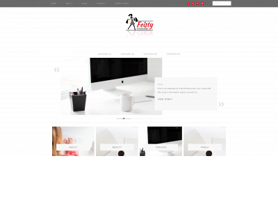 feistyconsumer.com snapshot