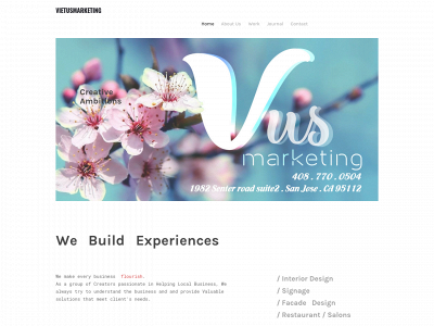 vietusmarketing.weebly.com snapshot