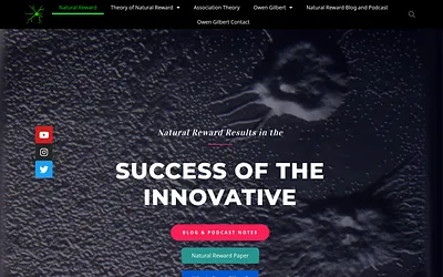 successoftheinnovative.com snapshot