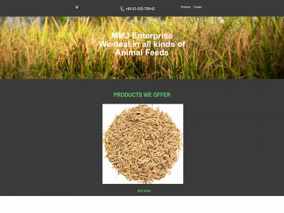 mmjenterprise.com snapshot