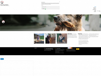pawsdogshelter.com snapshot