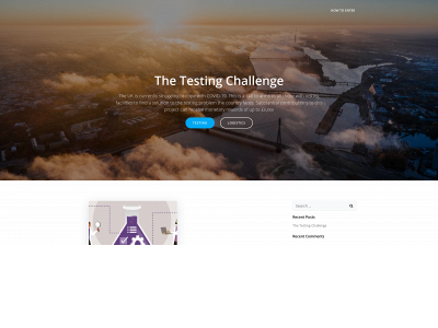 testingchallenge.com snapshot