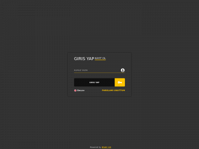 www.agerayis.com snapshot