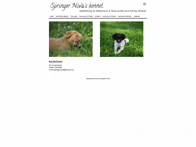 springer-novas-kennel.se snapshot