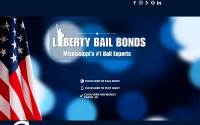 libertybailbondsllc.com snapshot