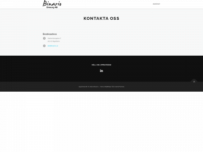 binario.se snapshot