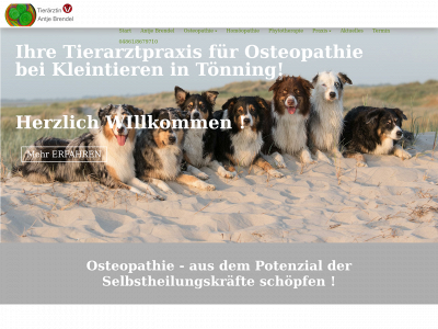 tpo-am-meer.de snapshot