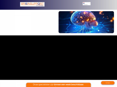 brainsupport.nl snapshot