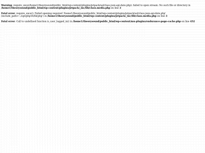 theoryandsound.com snapshot