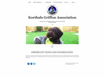 korthalsgriffonassociation.org snapshot