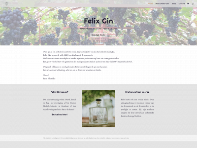 felixgin.be snapshot